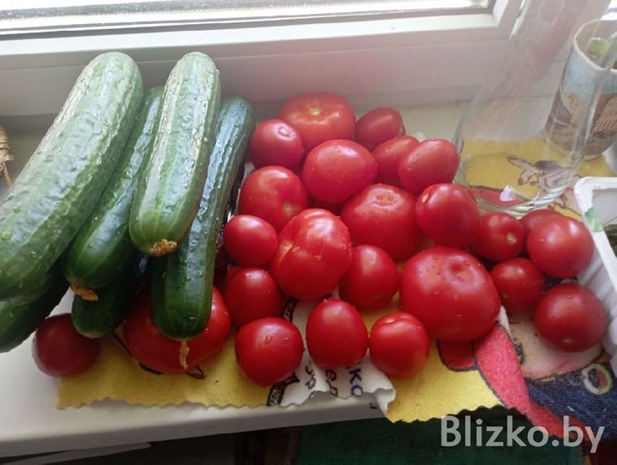 «Я ненавидел свое жирное тело». Белорус рассказал, как похудел на 50 килограммов и кардинально поменял свою жизнь