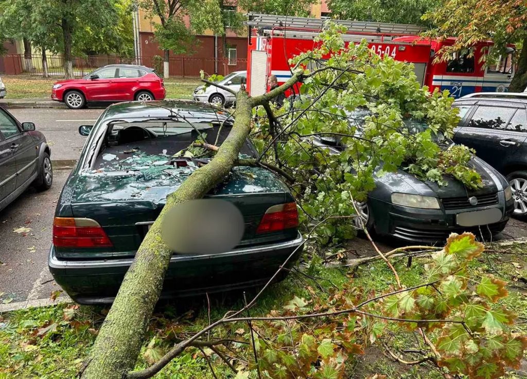 Фото из открытых источников (иллюстративное)