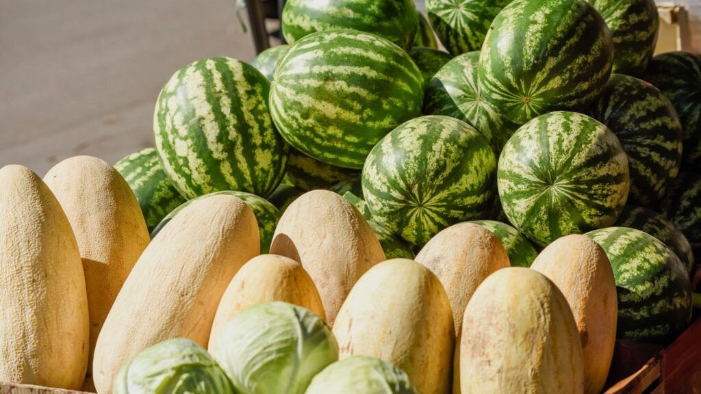 Что полезнее дыня или арбуз? Ответил эксперт