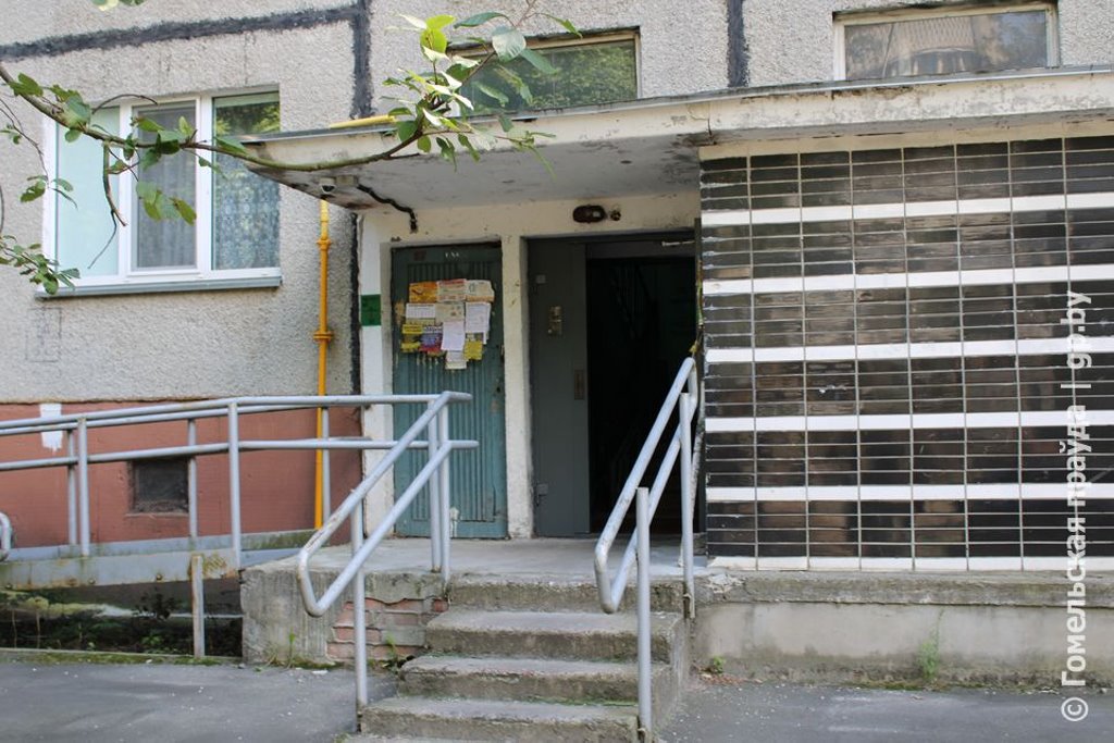 Кто виноват в смерти Гучи? В Гомеле соседский питбультерьер загрыз килограммовую чихуахуа