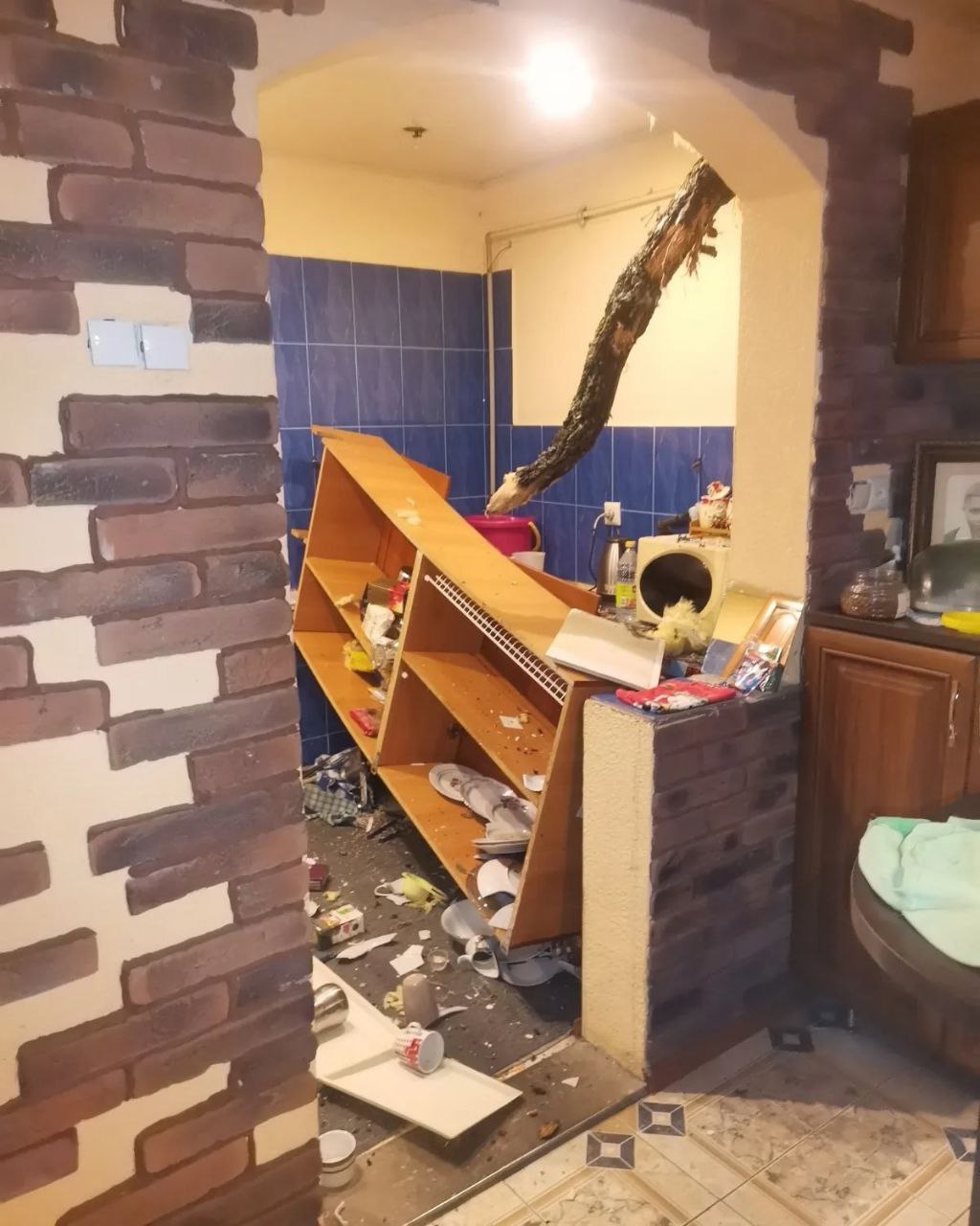 Под Гродно ветка дуба «зашла в гости» через крышу