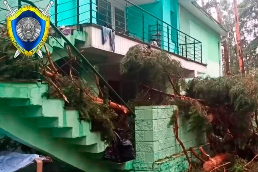 В Беларуси вследствие падений деревьев во время урагана погибло семь человек