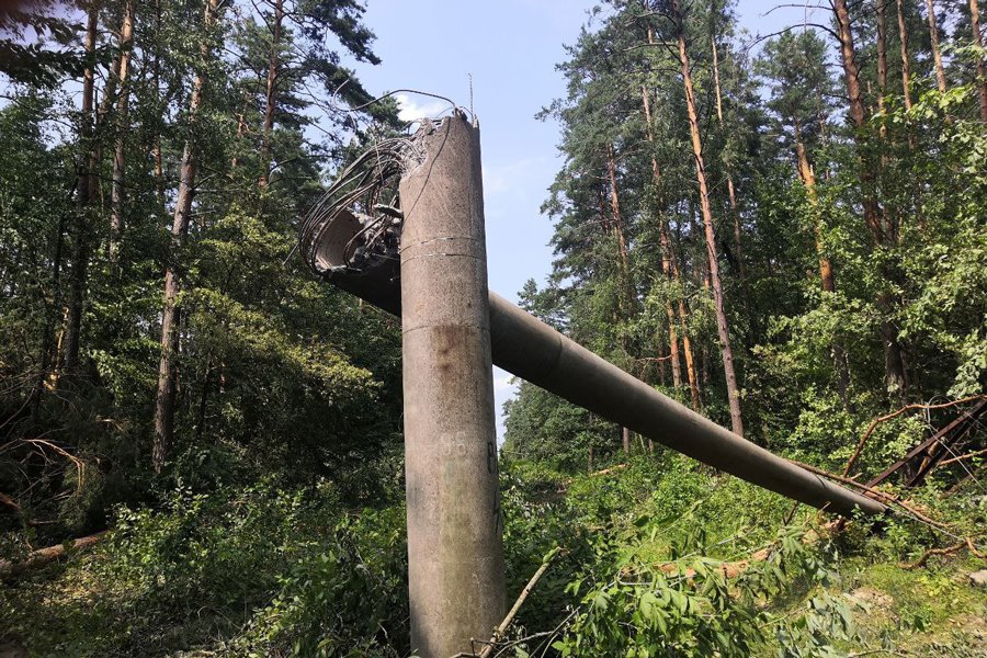 В Беларуси вследствие падений деревьев во время урагана погибло семь человек