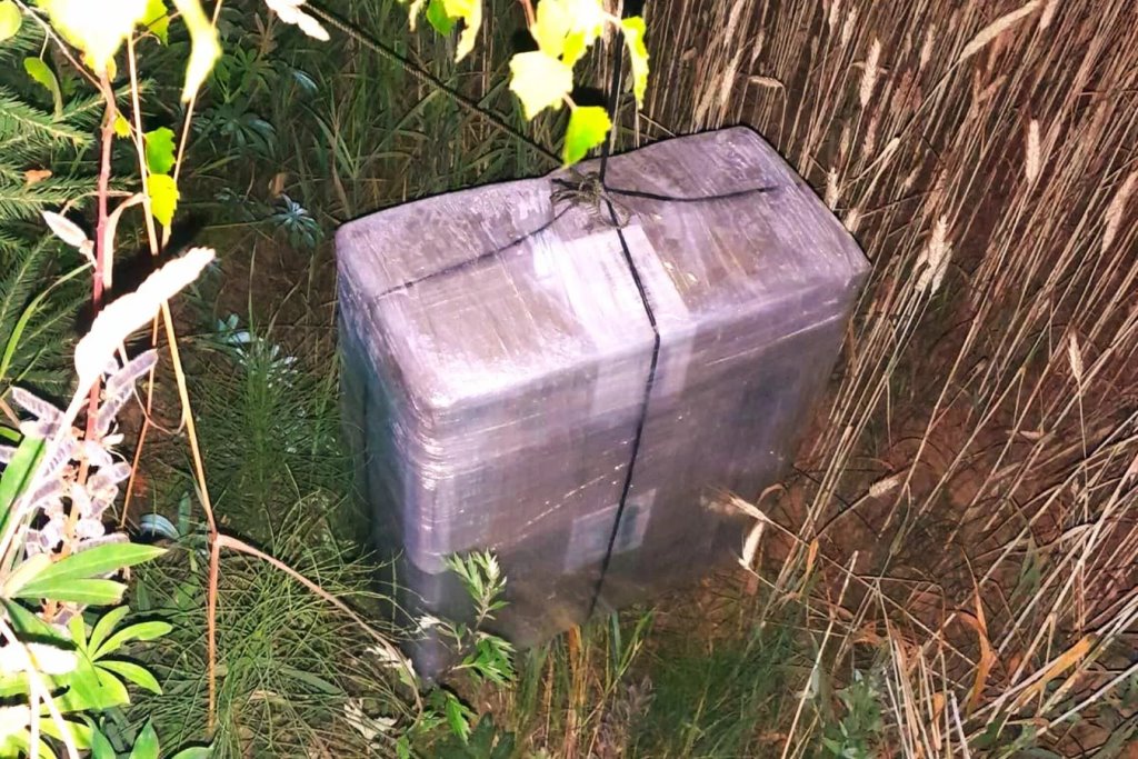 Пограничники Литвы перехватили летевший из Беларуси метеозонд с сигаретами