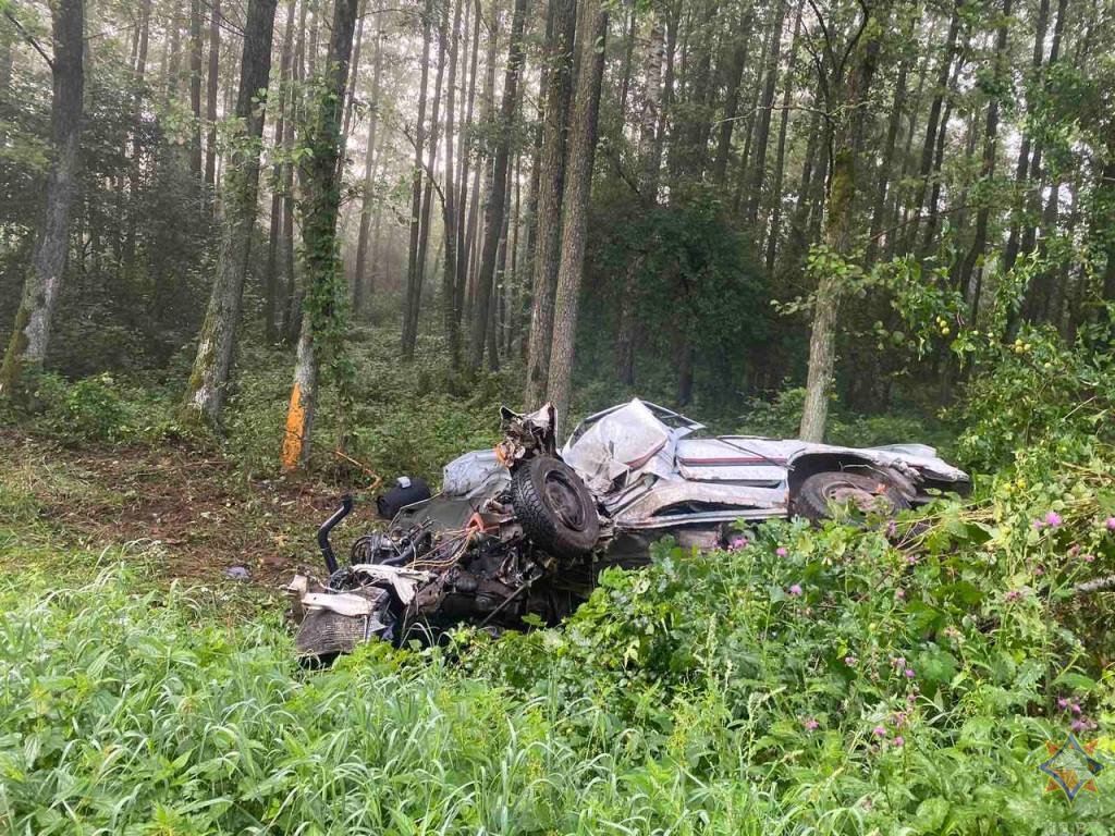 В Пружанском районе автомобиль врезался в дерево