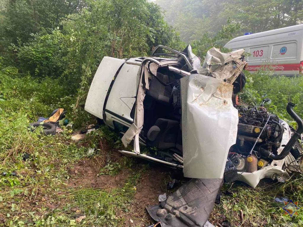 В Пружанском районе автомобиль врезался в дерево