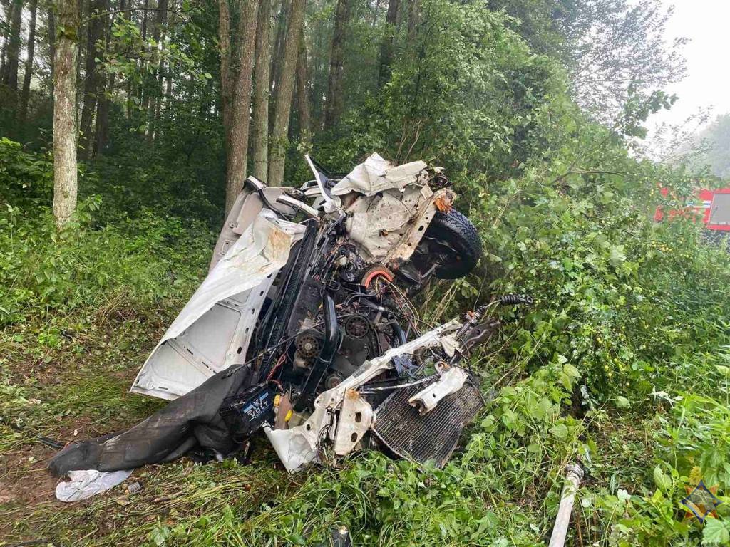 В Пружанском районе автомобиль врезался в дерево