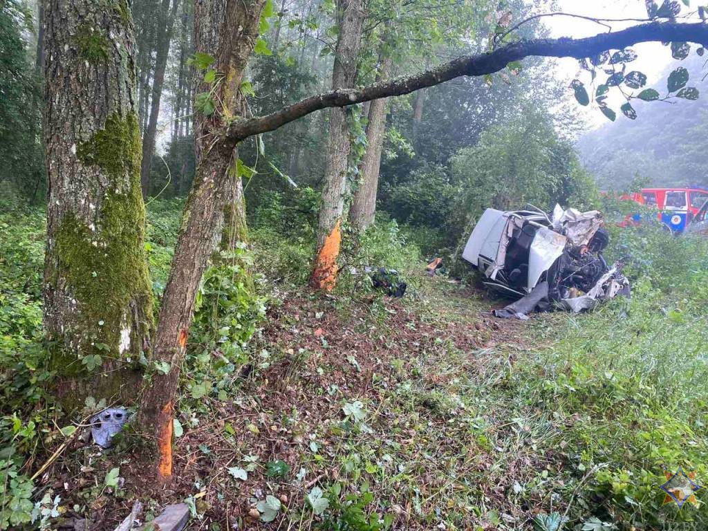 В Пружанском районе автомобиль врезался в дерево