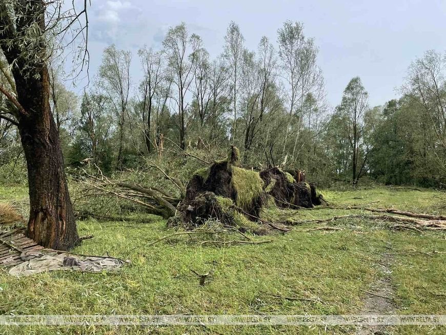 Шок, слезы и помощь. Агрогородок Лопатино Пинского района приходит в себя после разрушительного урагана