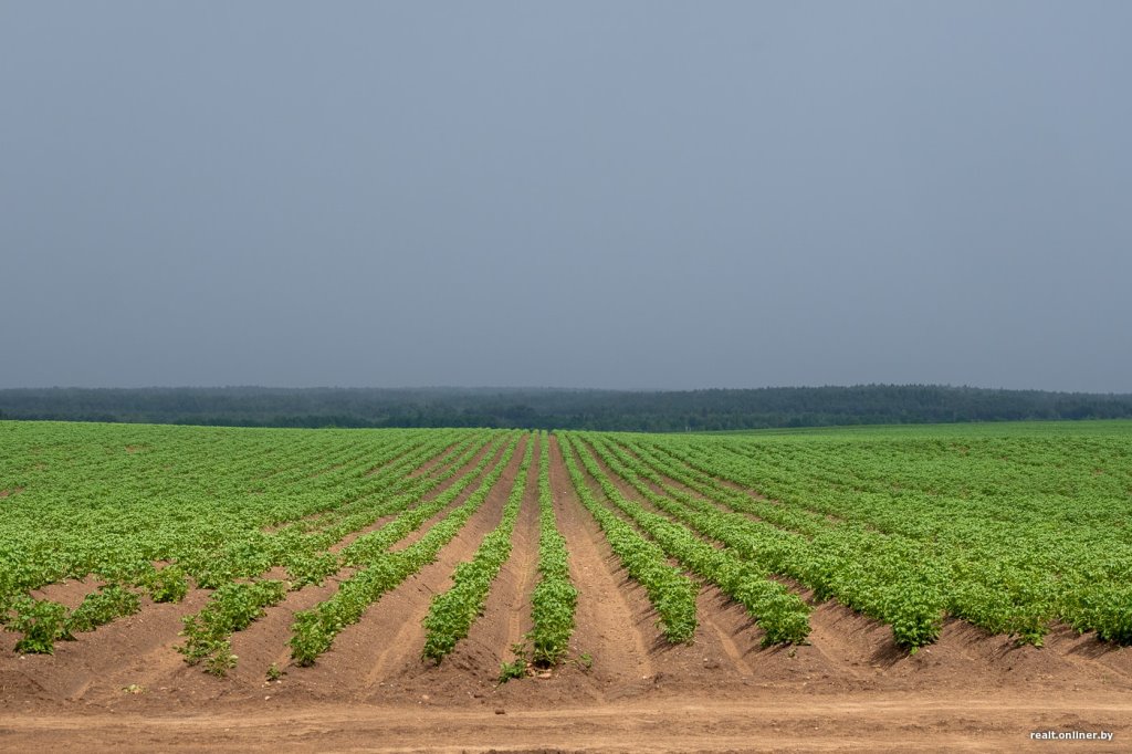 Белоруса уволили прямо перед пенсией. Он отсудил 10 зарплат