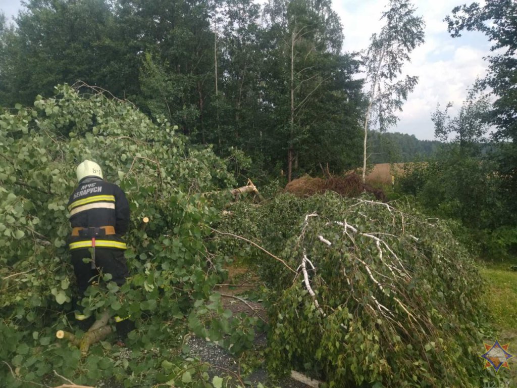 Что натворила непогода на Брестчине