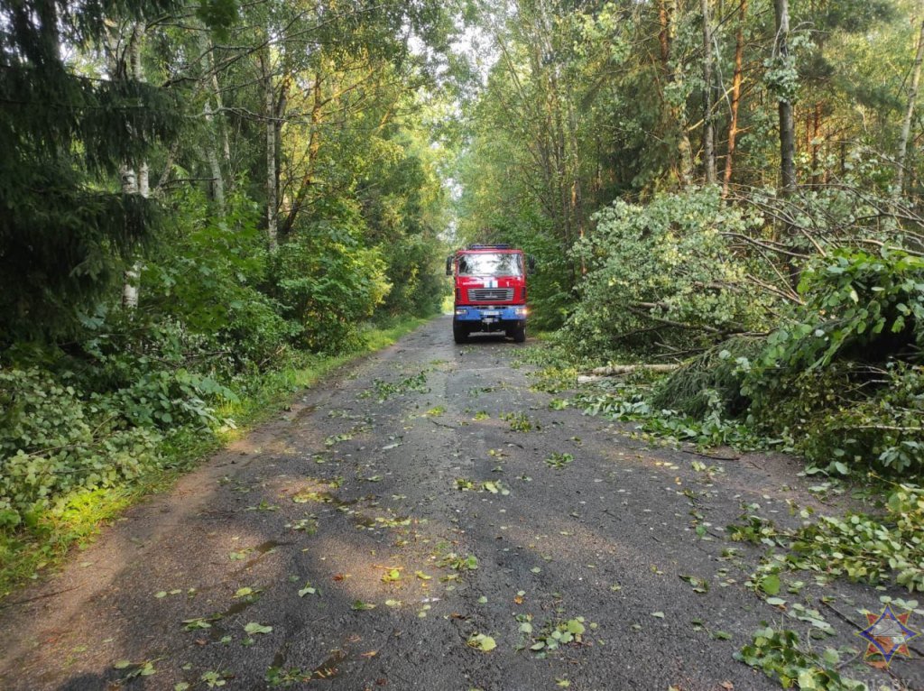 Что натворила непогода на Брестчине