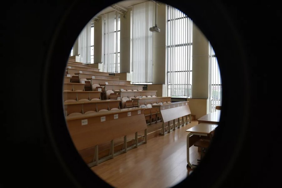 «Непосильная ноша» распределения: молодые специалисты о зарплате и трудностях