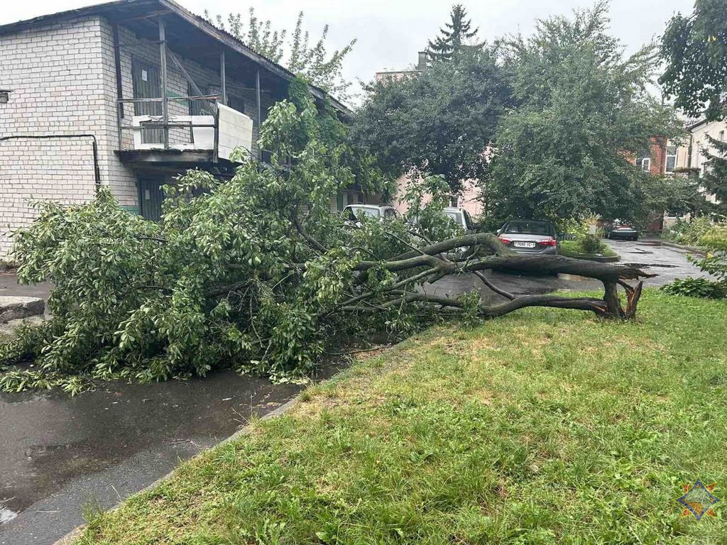 Почти 300 строений повреждены во время бури в Брестской области