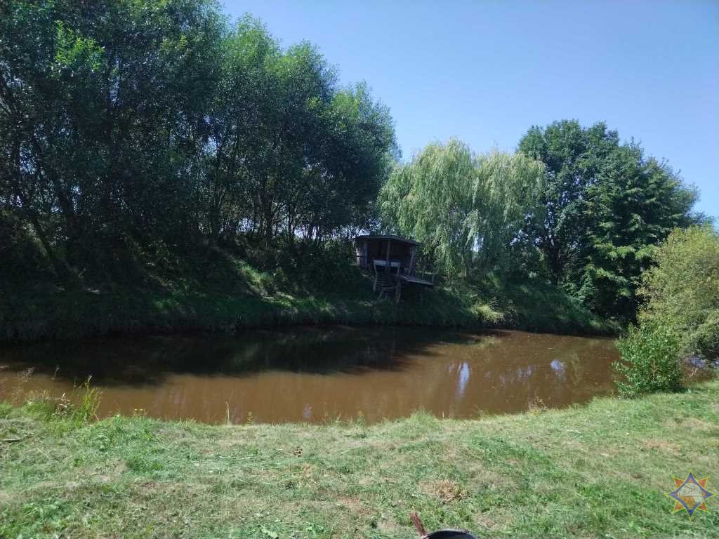 В Пинском районе мужчина утонул в пруду