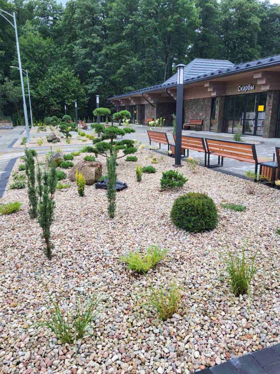 Беловежская пуща преображается