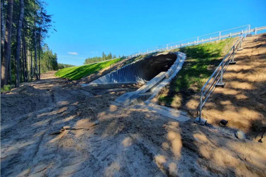 Как в Беларуси выглядит переход для диких животных