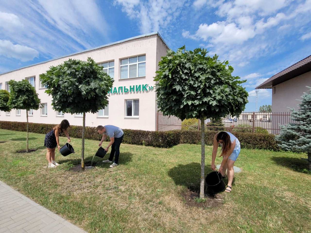 В Бресте объявлена экологическая акция «Полей дерево»