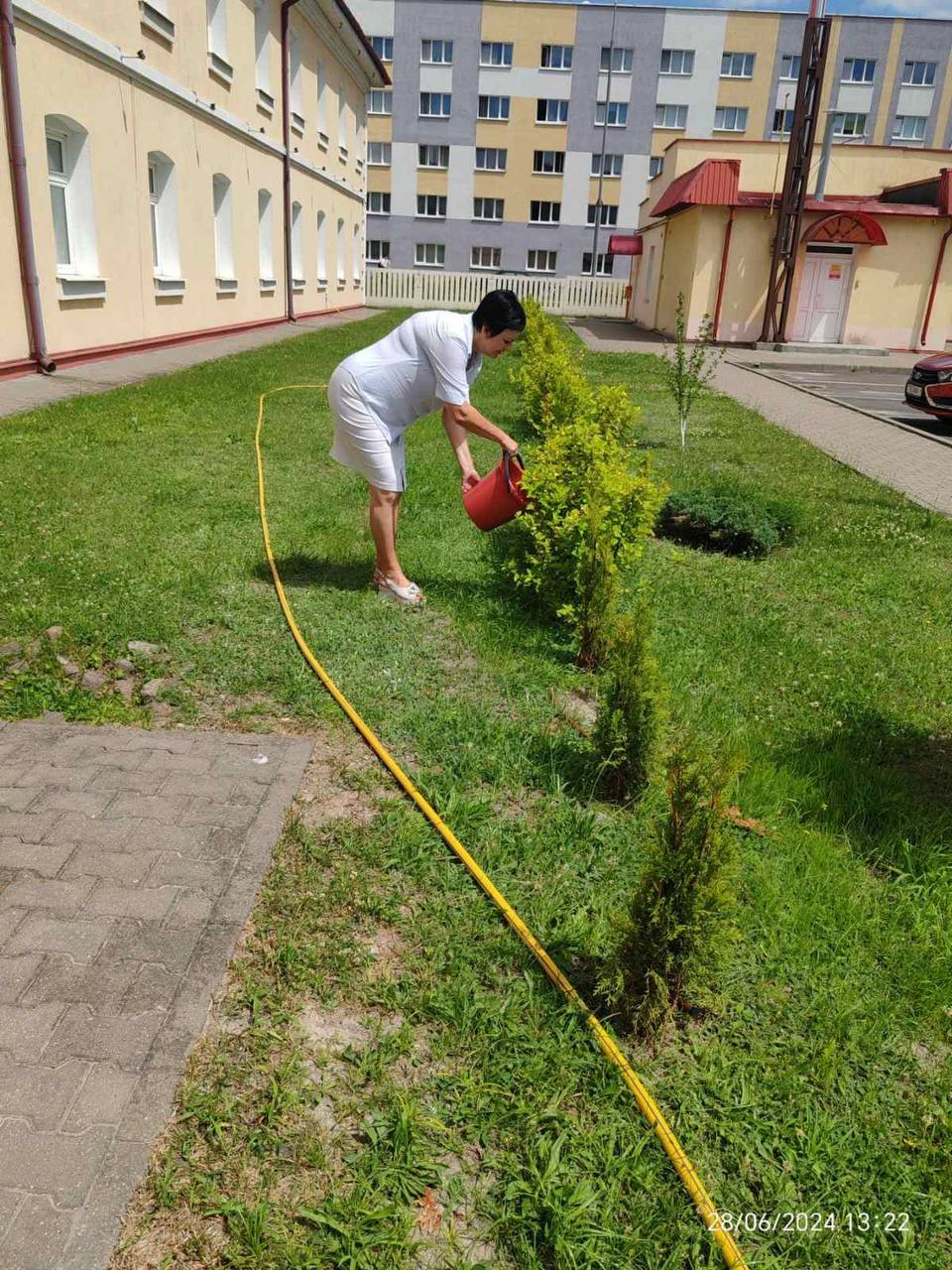 В Бресте объявлена экологическая акция «Полей дерево»