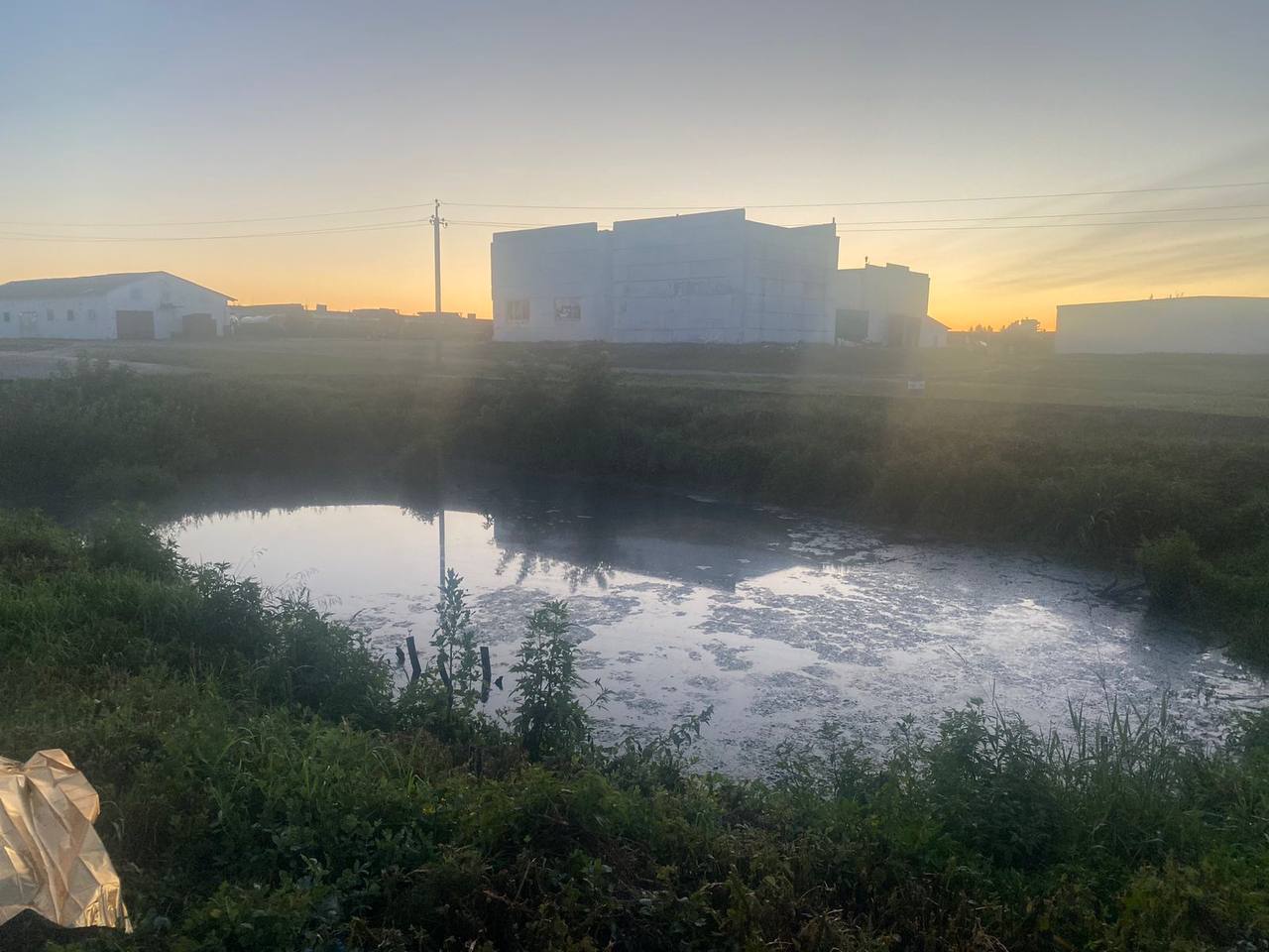 4-летнюю девочку, пропавшую в Каменецком районе 1 июля, нашли мертвой