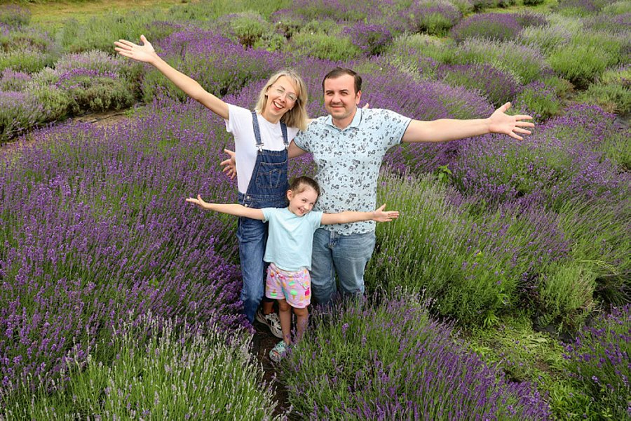 Под Пинском семья создала лавандовую ферму