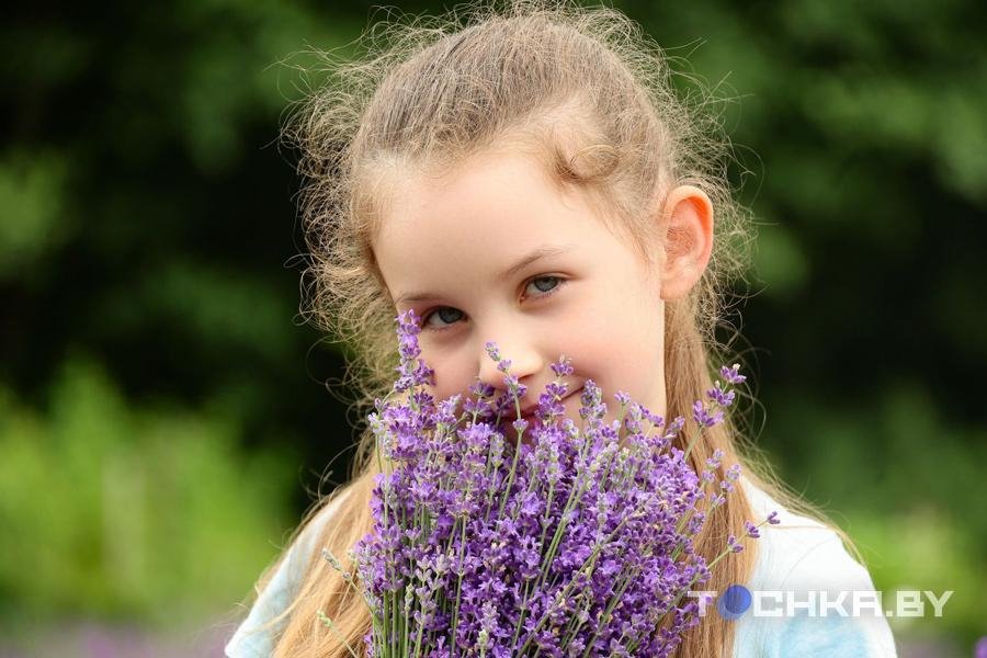 Под Пинском семья создала лавандовую ферму