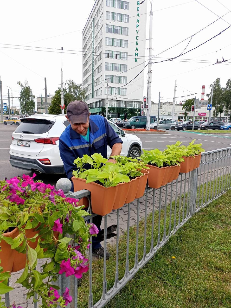 Специалисты ПКУП «Коммунальник» украсили Брест цветами