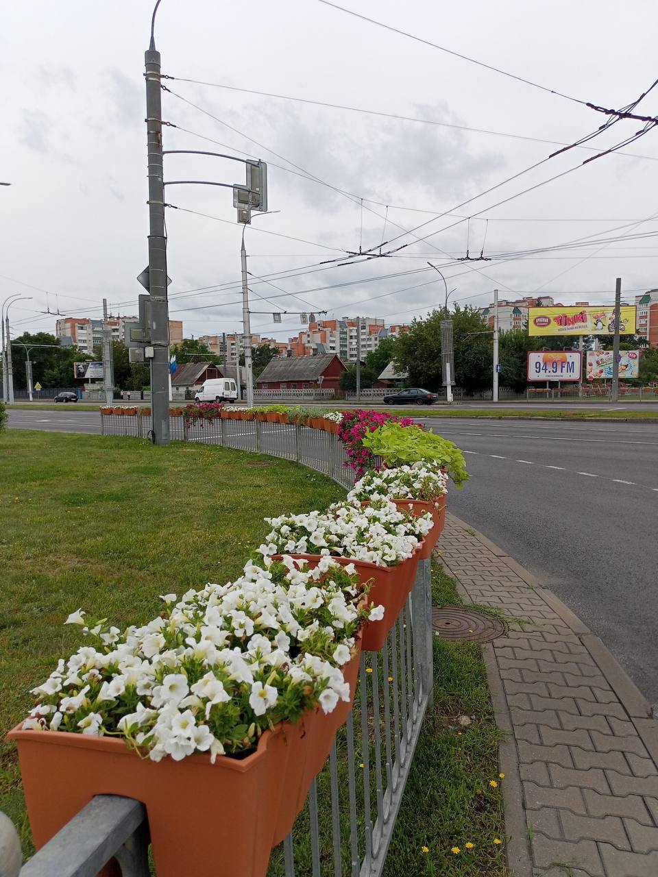 Специалисты ПКУП «Коммунальник» украсили Брест цветами