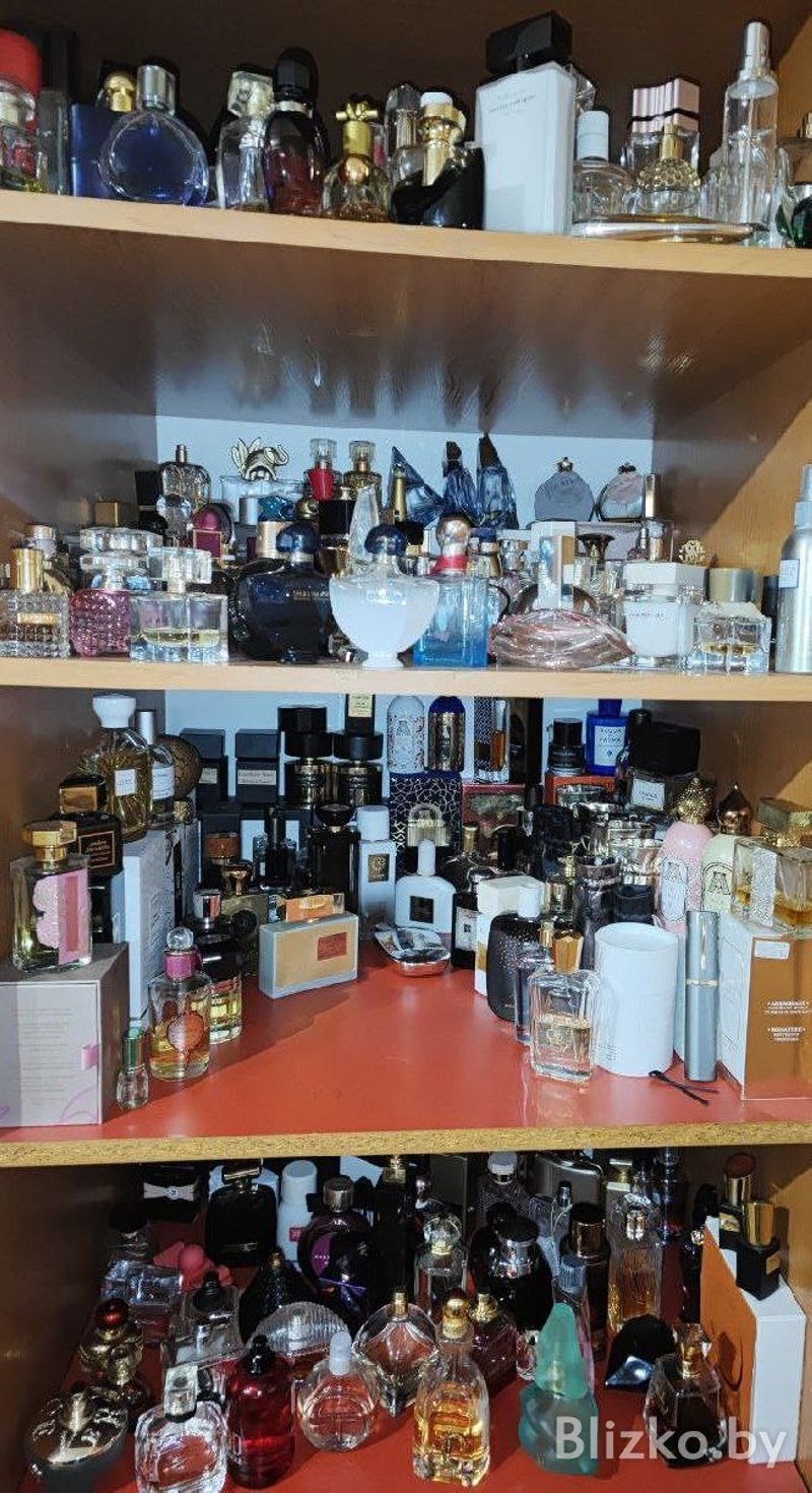 Белоруска ушла в парфюмерный «запой» и собрала коллекцию духов из 350 флаконов. Как ей удалось это сделать
