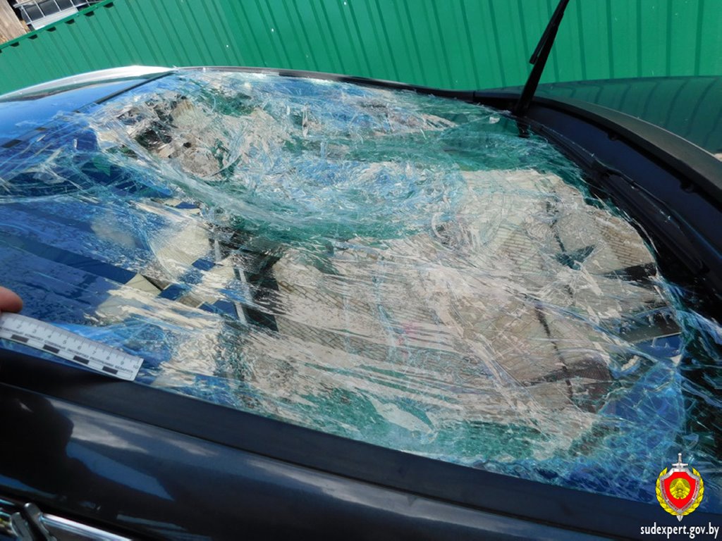 Рабочий из мести повредил бензотриммером автомобиль начальника. Ущерб оценили брестские эксперты