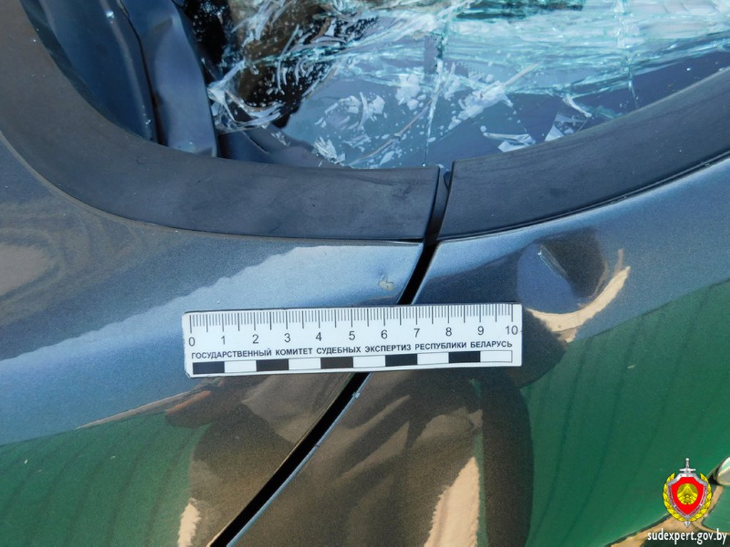 Рабочий из мести повредил бензотриммером автомобиль начальника. Ущерб оценили брестские эксперты