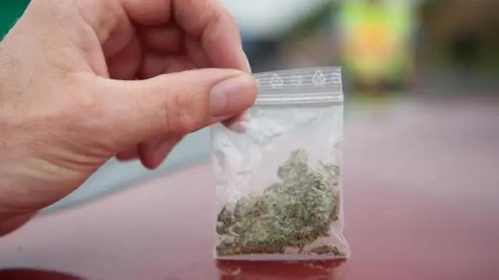 Беларусь отпустила латвийцев, задержанных по подозрению в провозе марихуаны