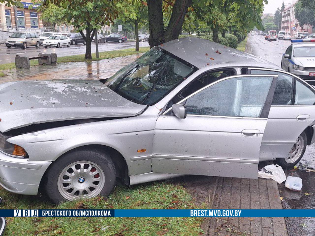 BMW врезался в дерево в Бресте. Известны подробности
