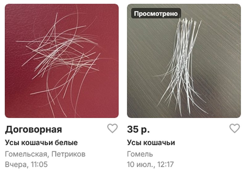 На белорусской интернет-барахолке продают кошачьи усы. Вы точно удивитесь, для чего их используют