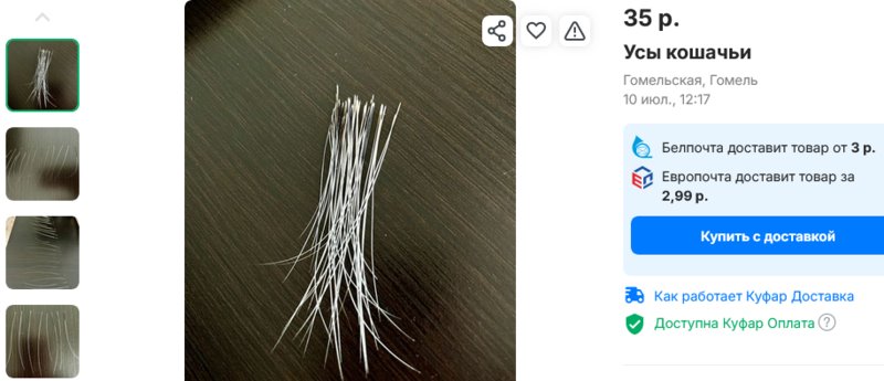 На белорусской интернет-барахолке продают кошачьи усы. Вы точно удивитесь, для чего их используют