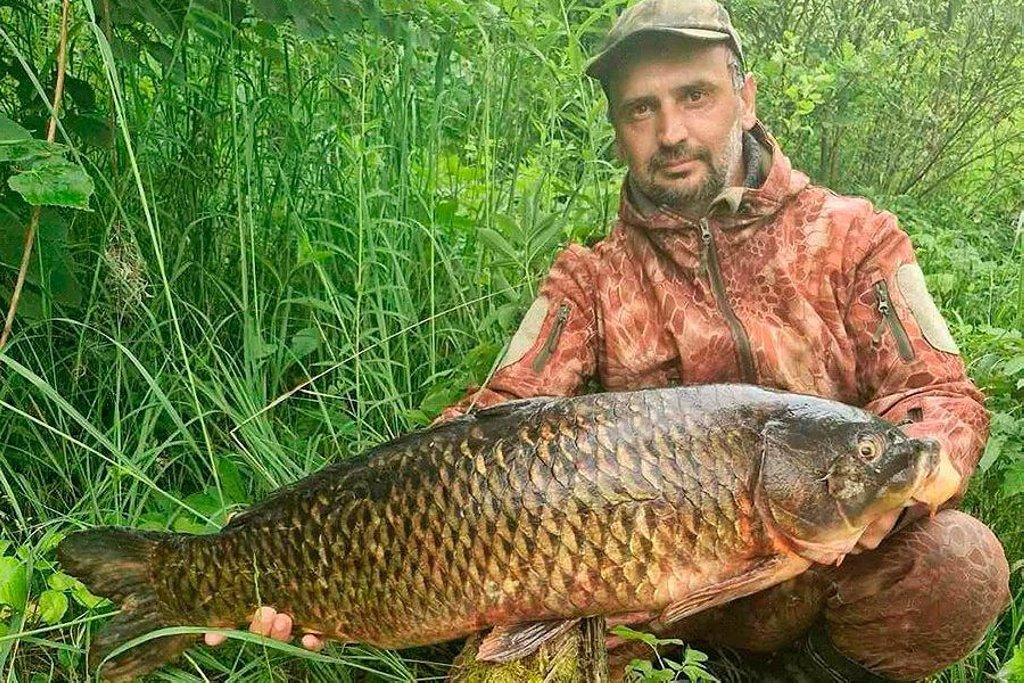 В Беларуси рыбак поймал огромного сазана