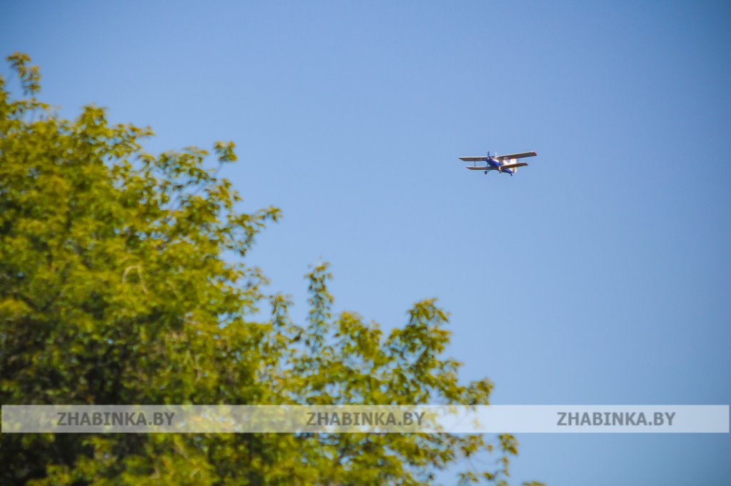 День города Жабинки: жители и гости города-спутника окунулись в праздничную атмосферу