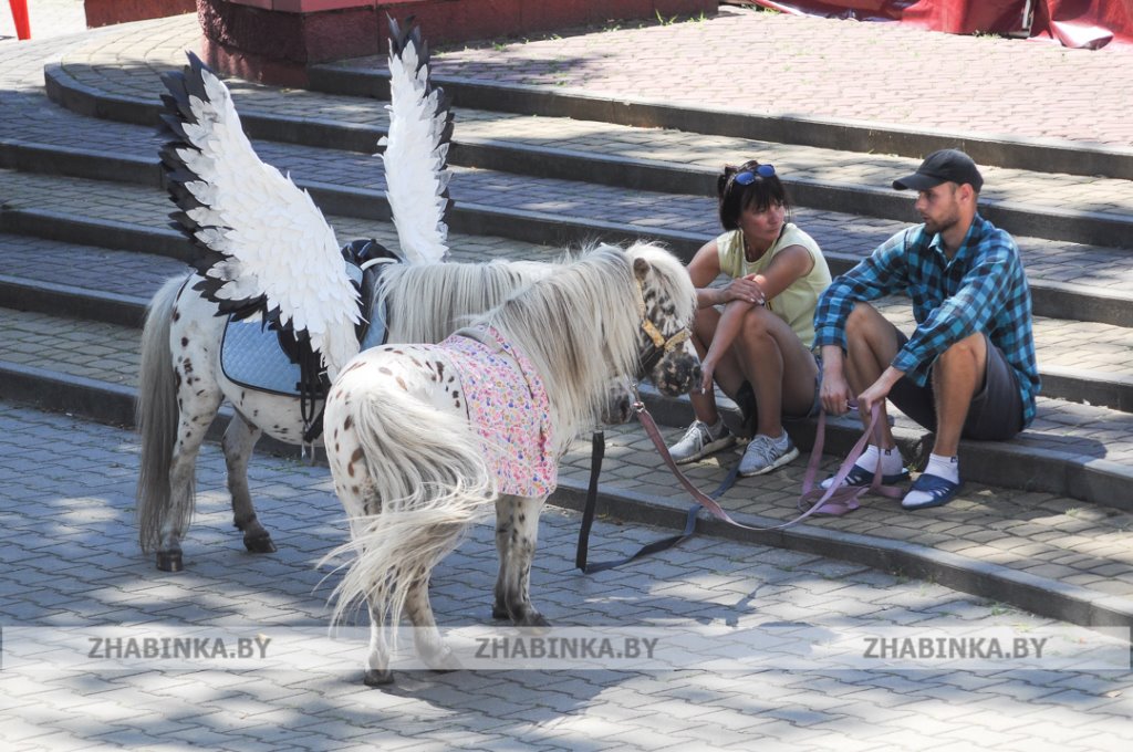 День города Жабинки: жители и гости города-спутника окунулись в праздничную атмосферу