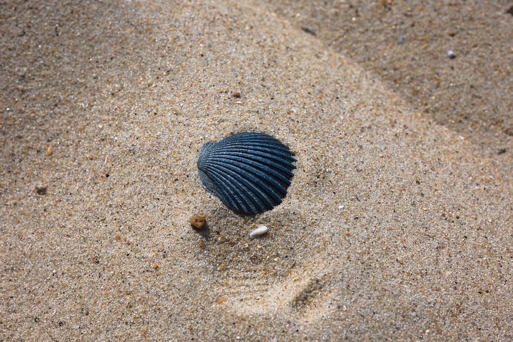 Фото pixabay (иллюстративное)