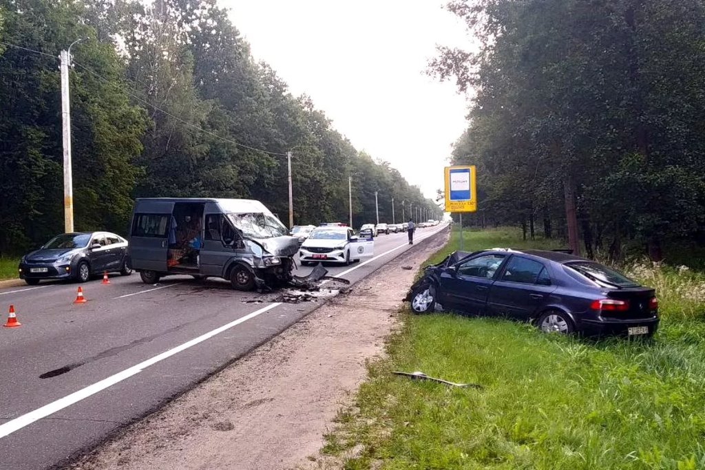 Лось спровоцировал тяжелое ДТП с двумя автомобилями