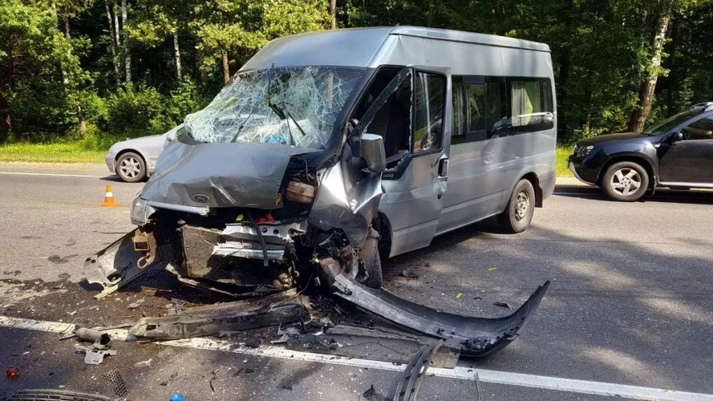 Лось спровоцировал тяжелое ДТП с двумя автомобилями