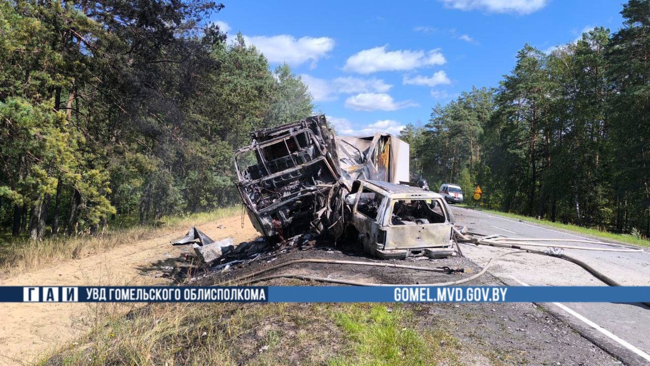 Внедорожник и фура загорелись после аварии на трассе М10 – погиб водитель