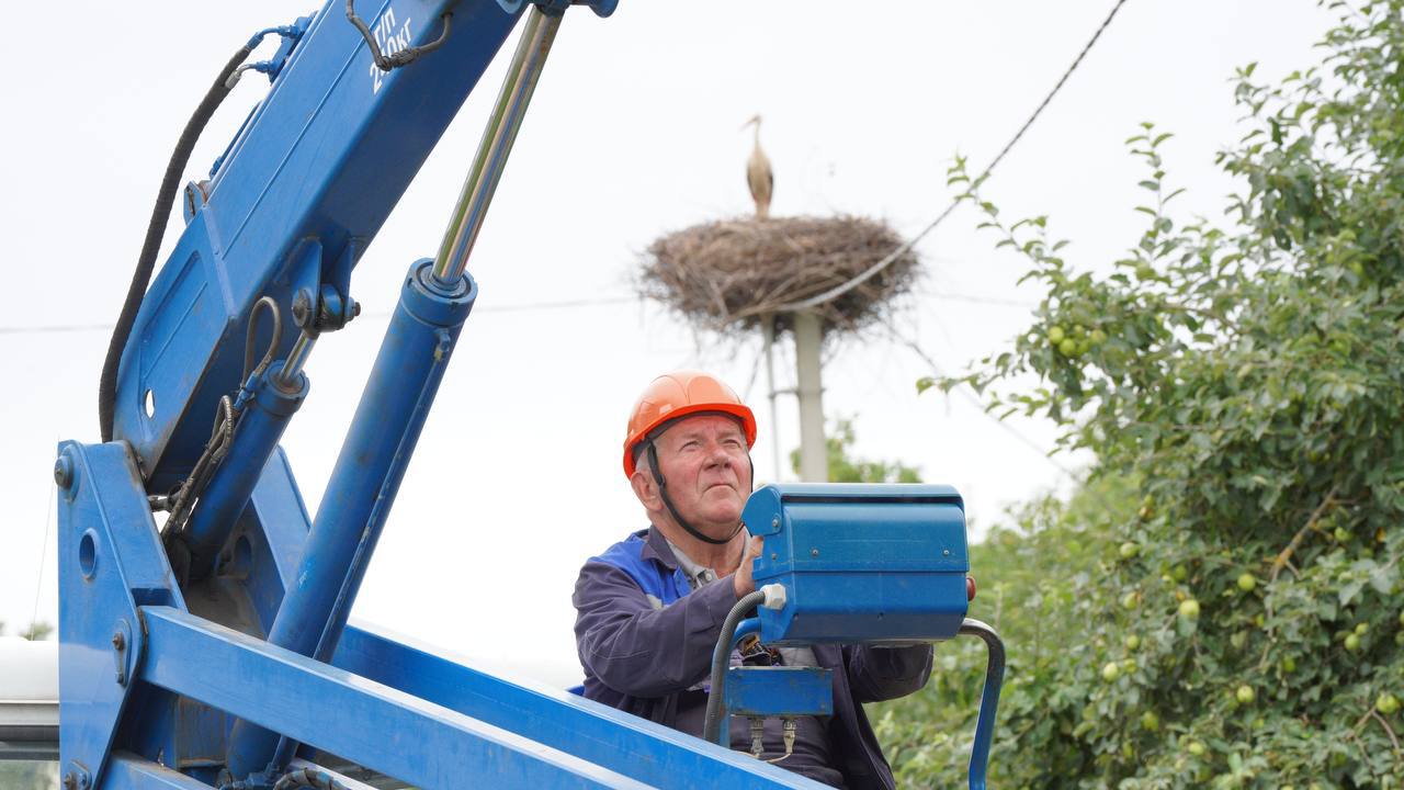 В Брестском районе энергетики помогли аистятам вернуться домой