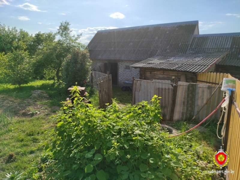 Неисправность шнура электроприбора привела к гибели женщины в Беларуси