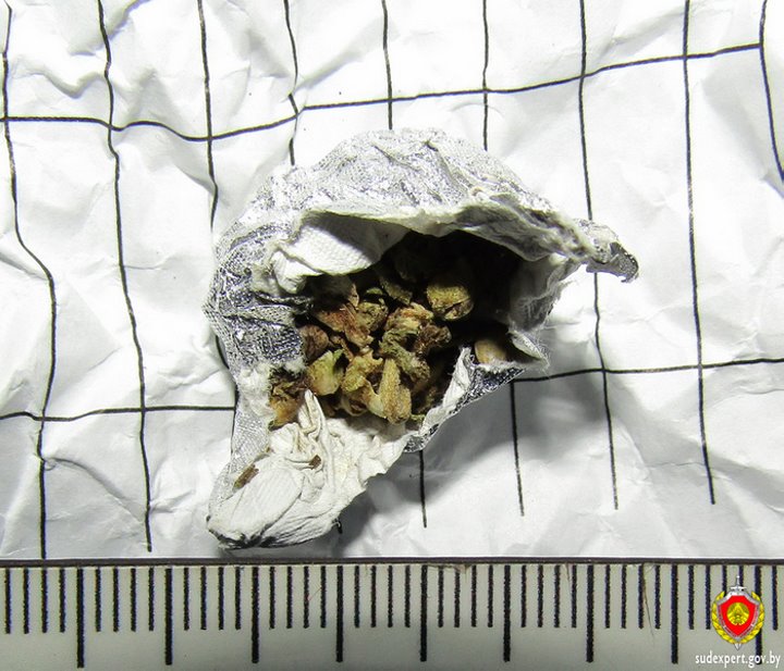 В Пинске в потолочном светильнике общежития нашли наркотик