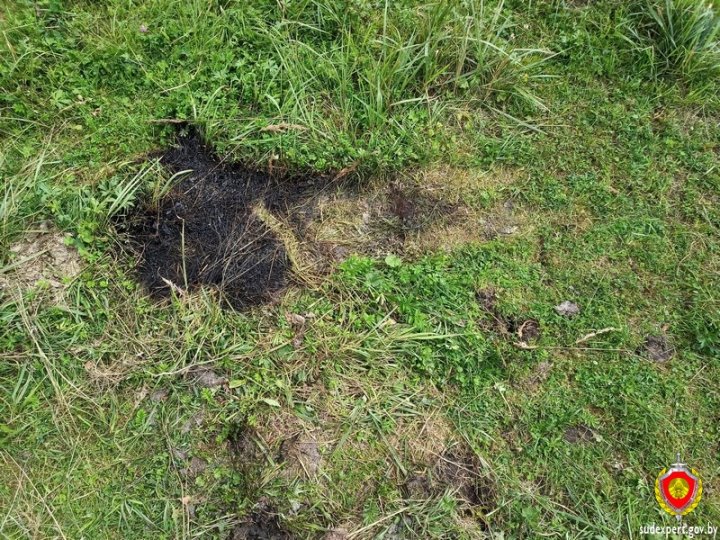 Разъяренный бык забодал хозяина насмерть. Трагедия в Витебской области