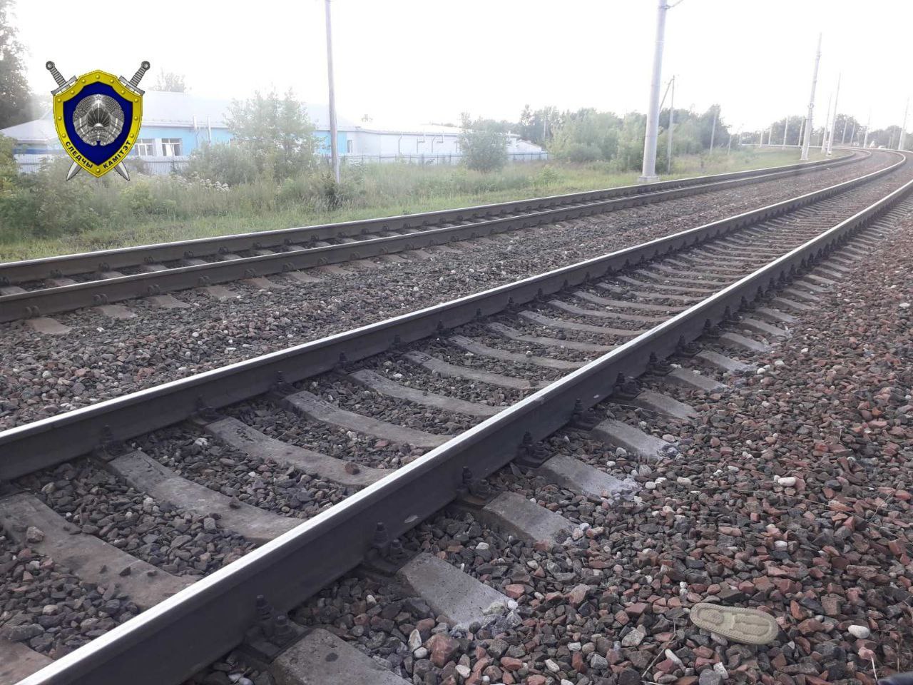 В Беларуси электричка насмерть сбила 8-летнюю девочку