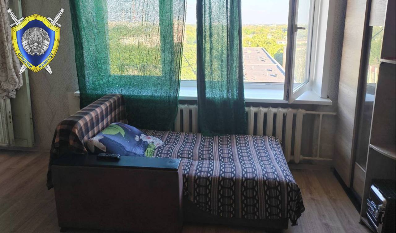 В Светлогорске из окна 9 этажа выпал ребенок. Он приземлился на дерево и остался жив