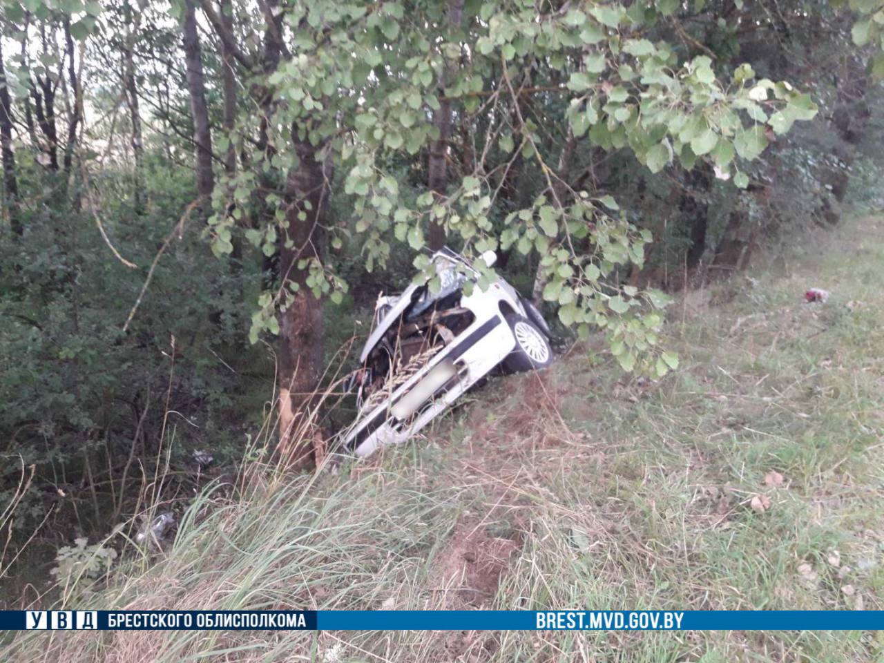 В Брестской области автомобиль вылетел в кювет и врезался в дерево. Водитель погиб