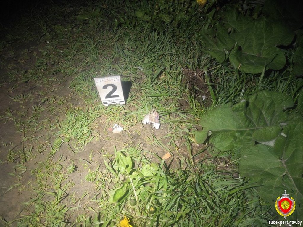 «Застрелил собаку из ружья». Жуткая история из Беларуси